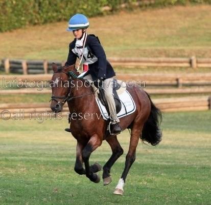 Blu Dream - Mâle (8 ans)