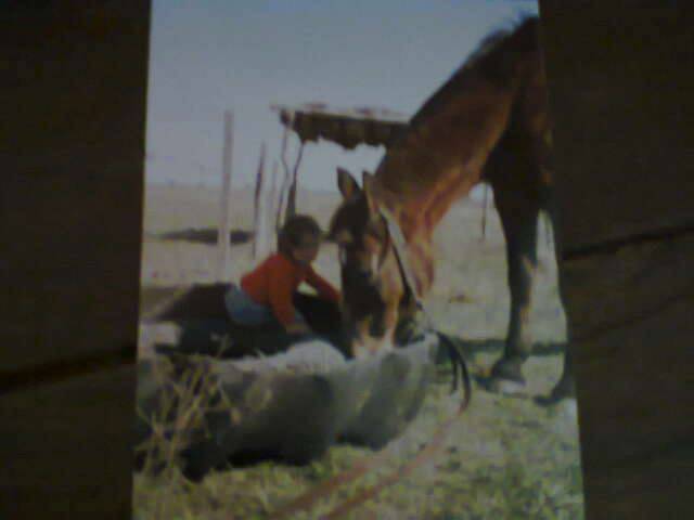 Yo y la yegua de mi abuelo -
