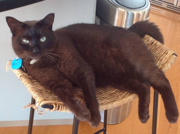 Mia - (2 ans)
