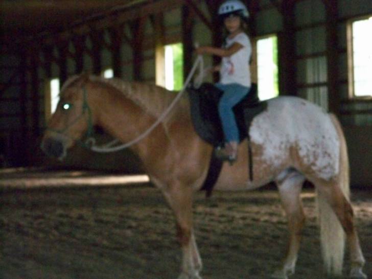 Ricky - Mâle (8 ans)
