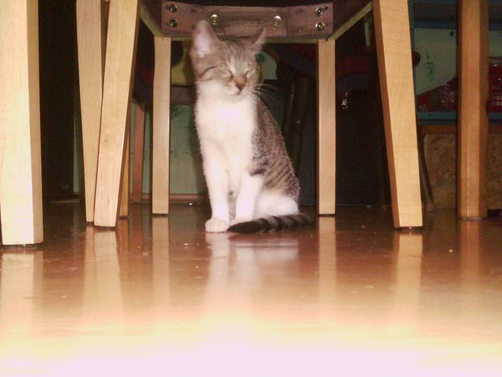 madiilein - (2 ans)
