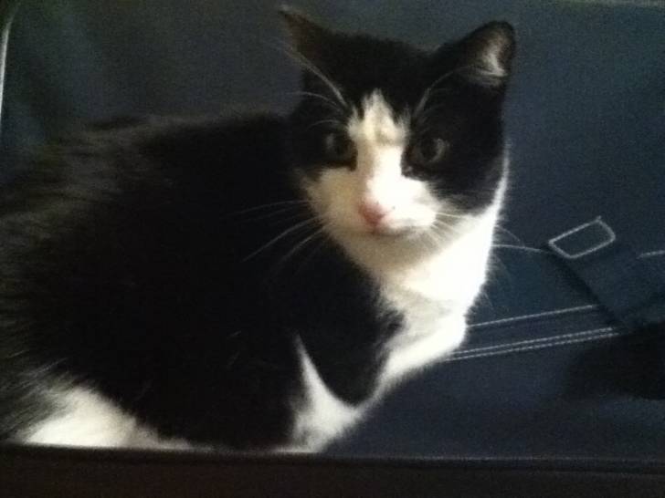 Sissi - (9 ans)