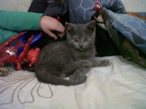 Kima - (5 mois)