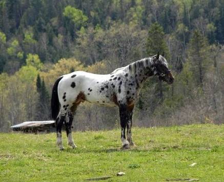 Miracle - (2 ans)