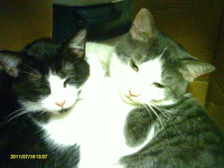 Stormie & Jay Jay -