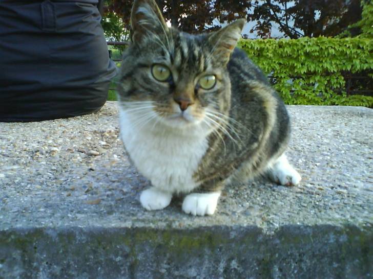 Lola - (1 an)
