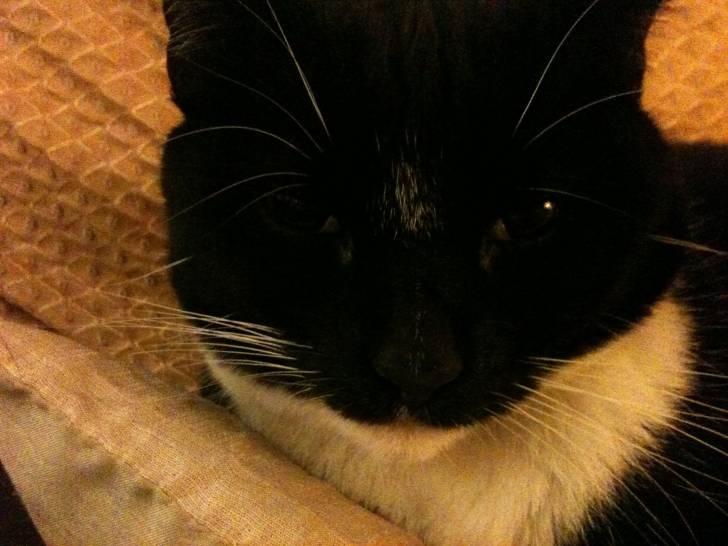 Minnie on the sofa 2 - (5 ans)