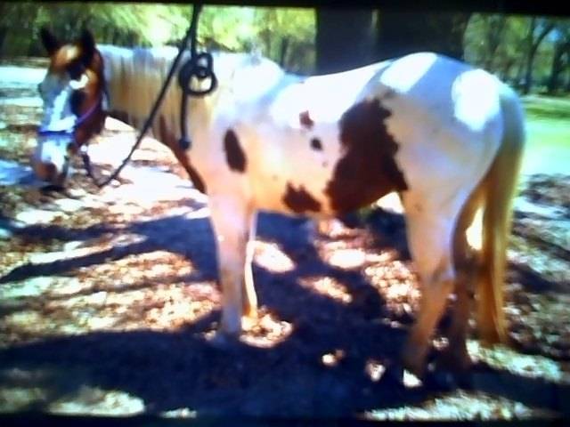 my girl - (10 ans)
