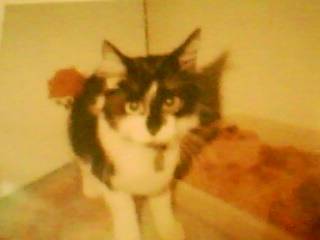 Sandy - (Autre)