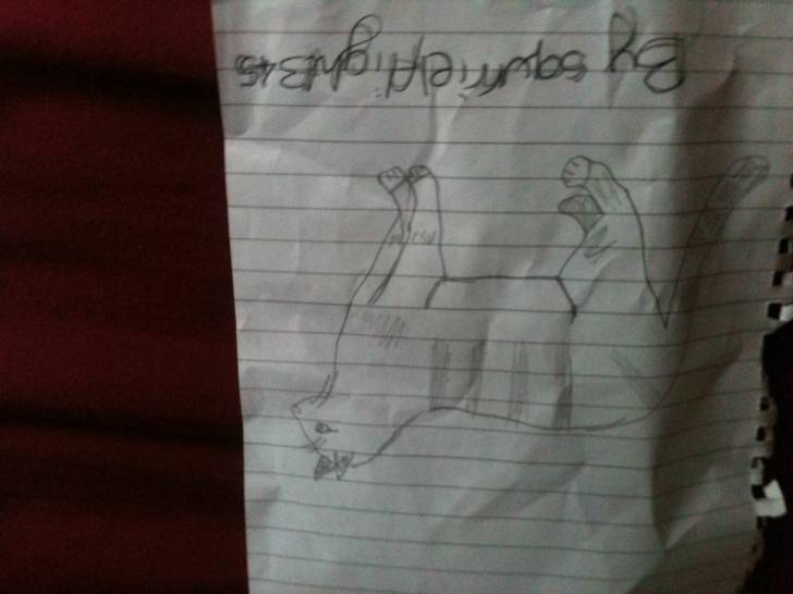 My drawing - (15 ans)