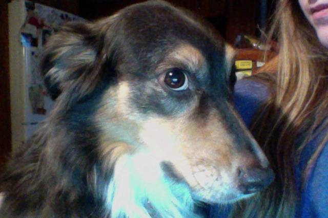 Mia - (5 ans)