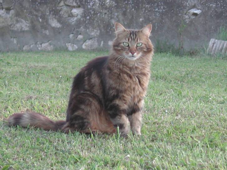 mon técki - (1 an)