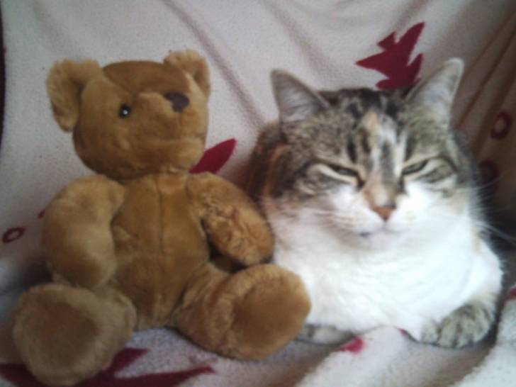 Biscotte - (8 ans)