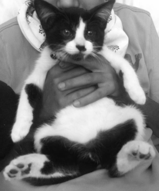 Chichi -