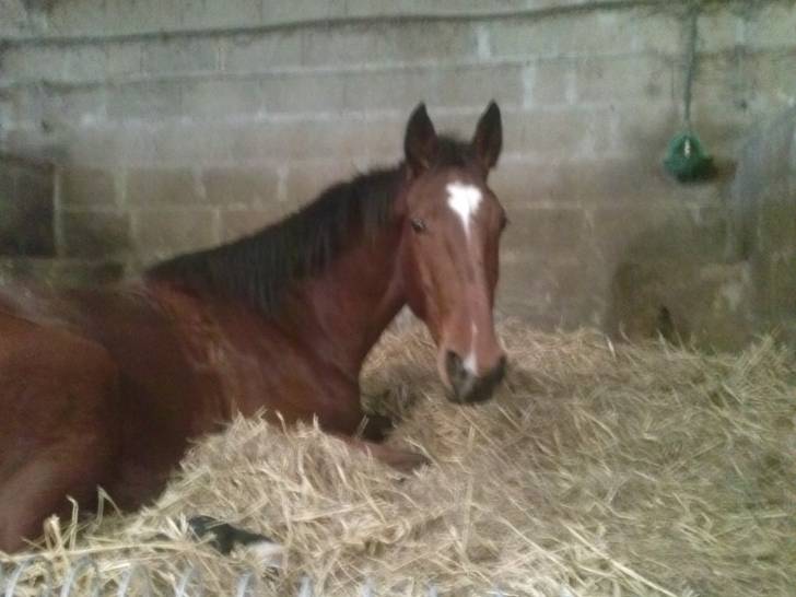 bererie - (3 ans)