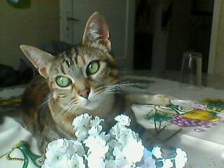 Kiara - (3 ans)