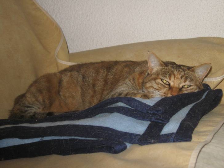 Canaille - (9 ans)