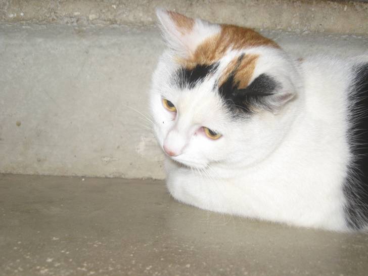 Tagada - (7 mois)