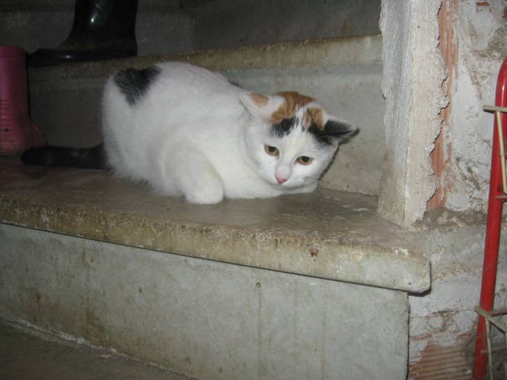 Tagada - (7 mois)