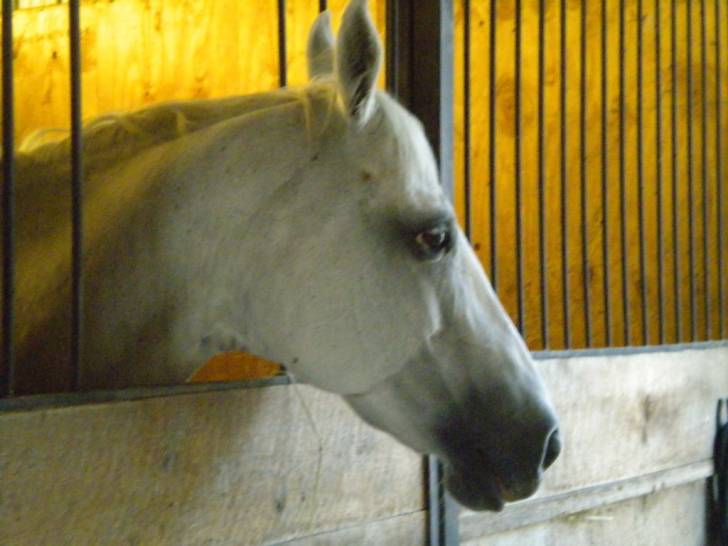 Maggie - (22 ans)
