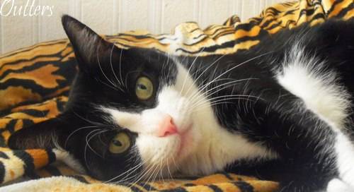 Tina - (9 ans)