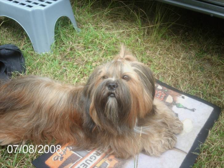 varina - (5 ans)