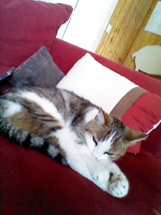 Omawé - (15 ans)