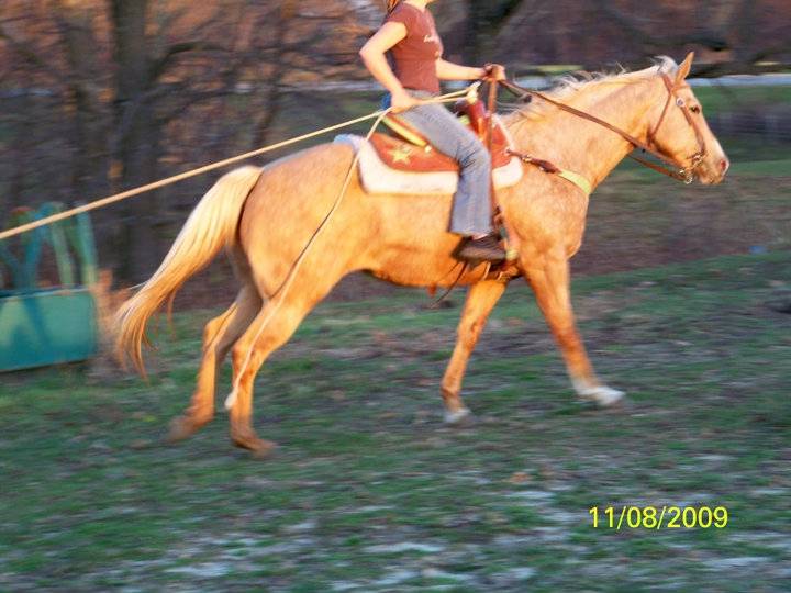 RC Rocki Gal - (14 ans)