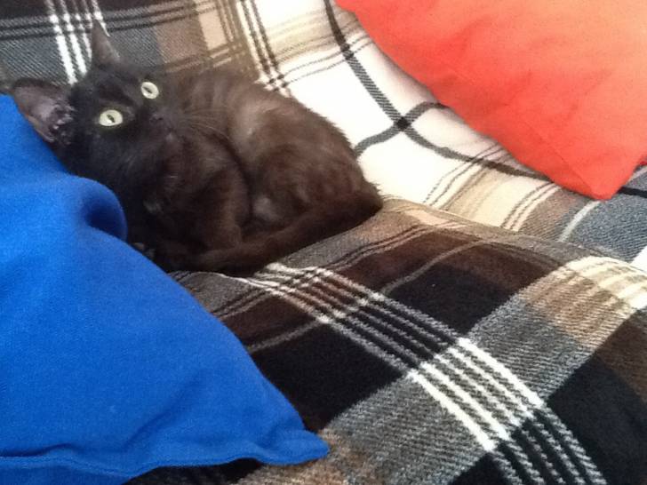 Irina - (6 mois)
