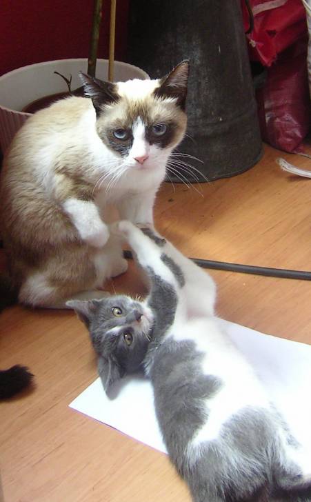 Shanti et Georges -