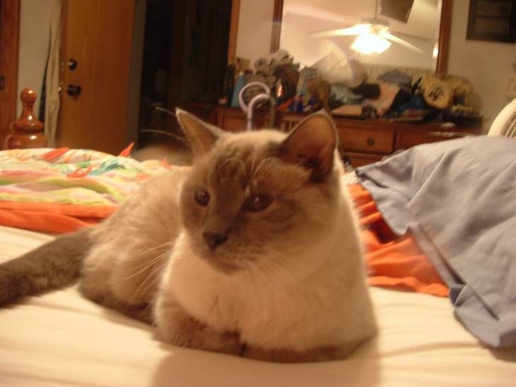 Sky Sky - (20 ans)