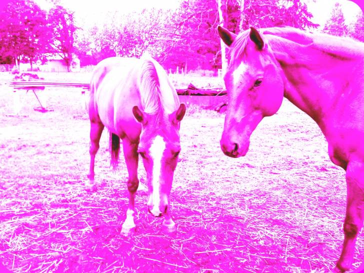 Patty and Kacie - (24 ans)