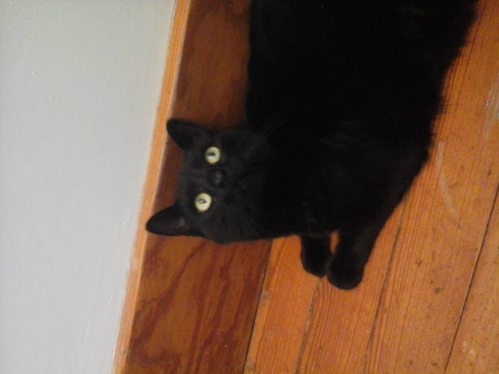 Spooky -