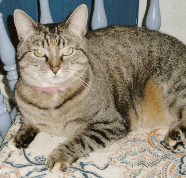 chrissy - (10 ans)