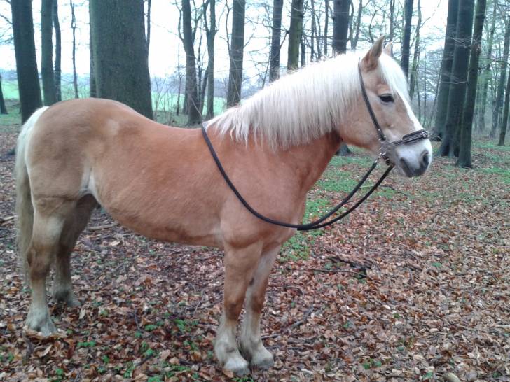 Naomi - (12 ans)