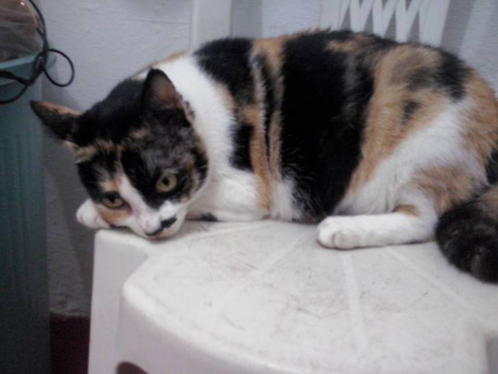 Mimi - (6 ans)