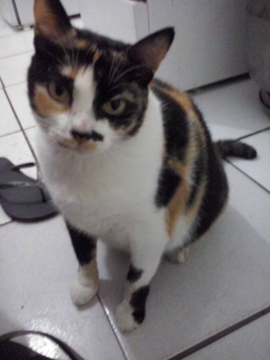 Mimi - (6 ans)