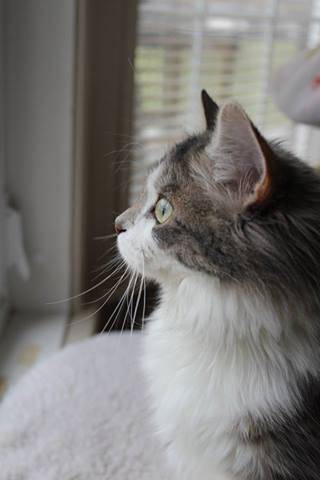 Bella-Roo - (6 mois)