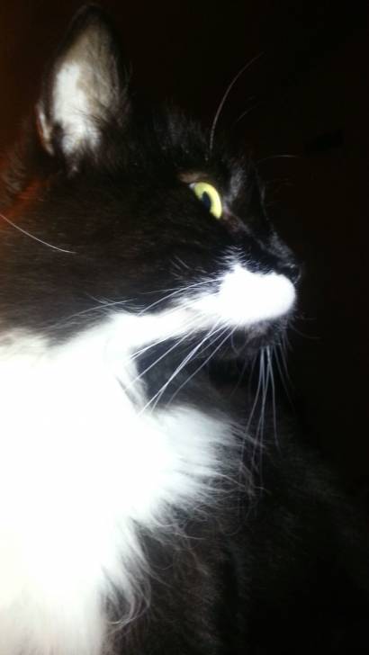Boots - Mâle (9 ans)