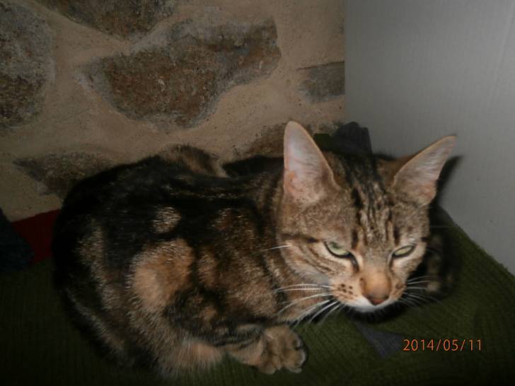 Mouna - (2 ans)