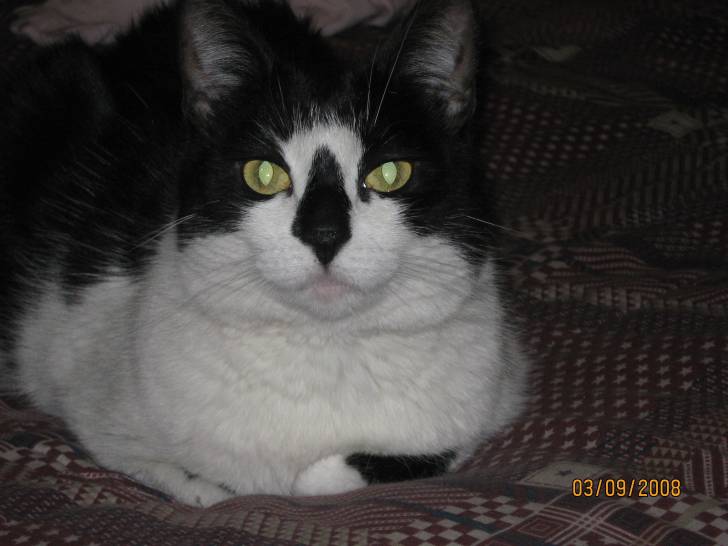 Lucía - (13 ans)