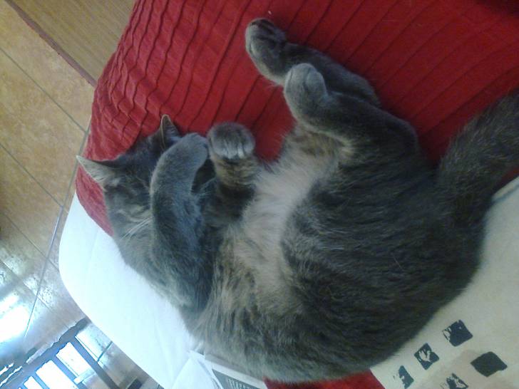 ♥ Mon doudou ♥ - (3 ans)