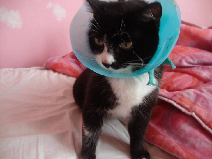 Seo - (2 ans)