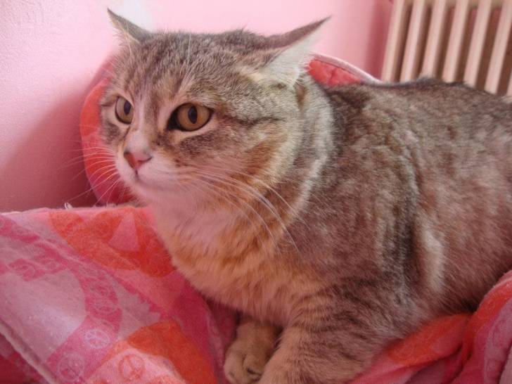 Titou - (5 ans)