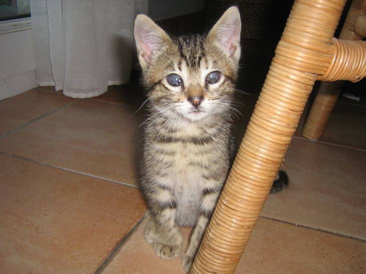 Tina - (2 ans)