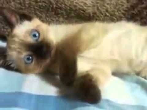 Osita - (2 mois)