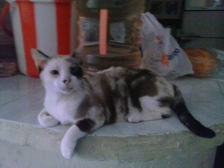 Rita - (2 ans)