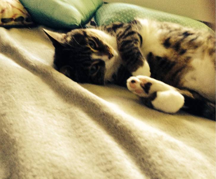 Lune - (3 ans)