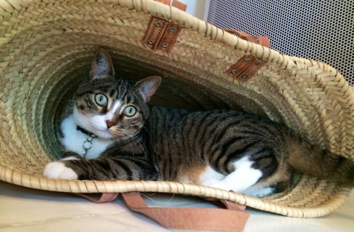 Lune - (3 ans)