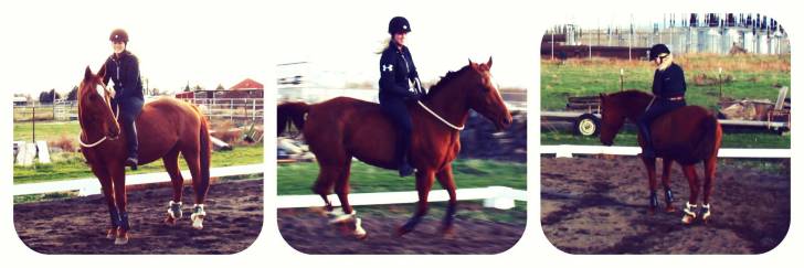 Free Riding Sienna - (14 ans)